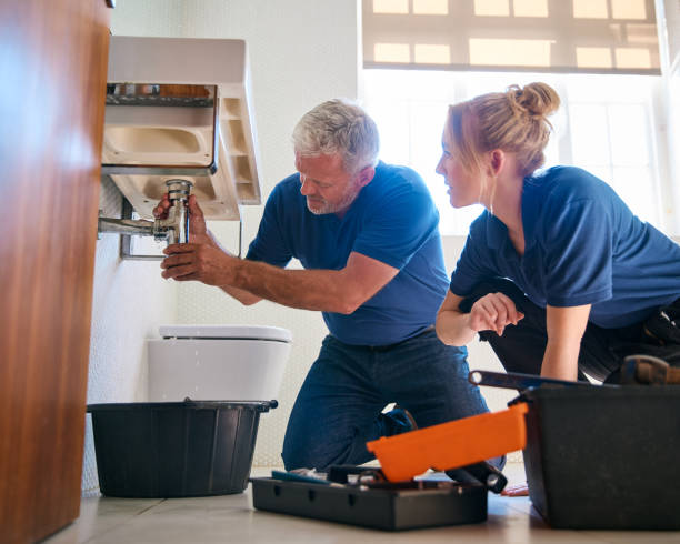 Best Affordable Plumber Near Me  in Viola, NY